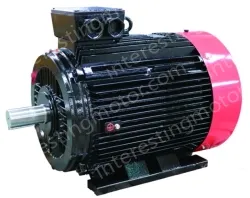 HUALI GROUP YE5-315L2-8(110KW)